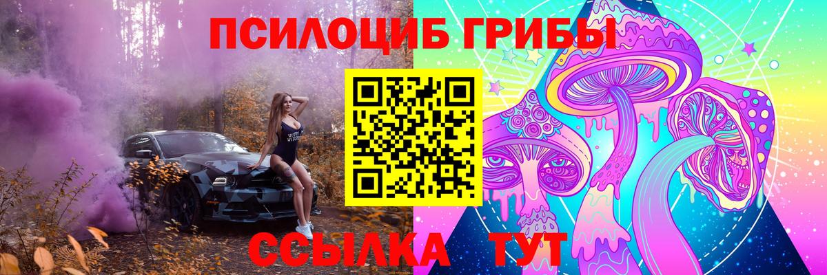 Галлюциногенные грибы Psilocybine cubensis Менделеевск
