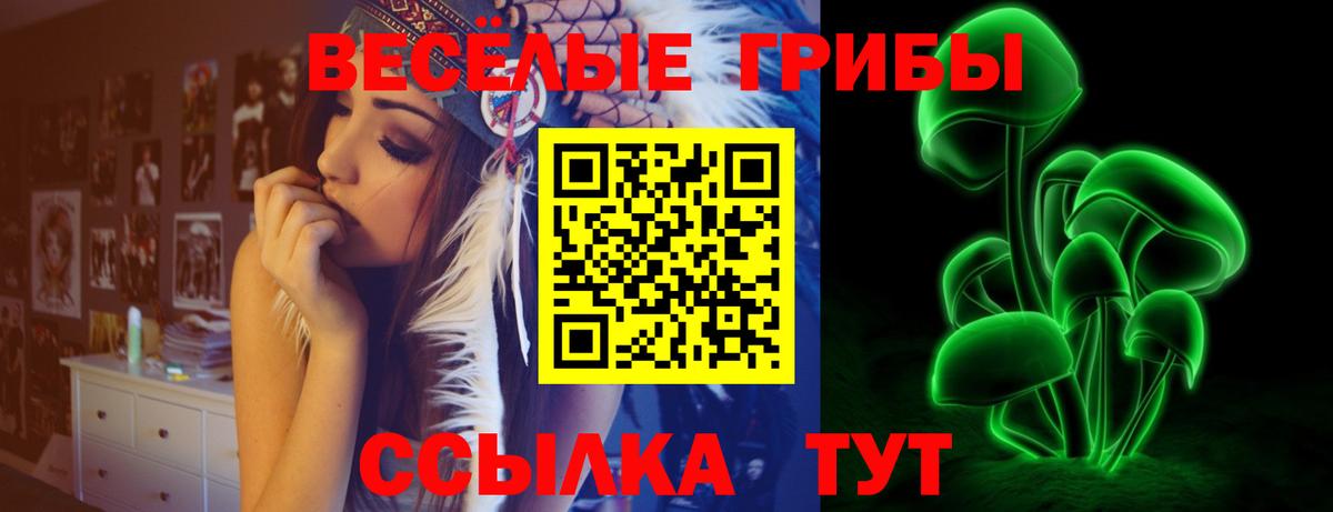 Менделеевск  Галлюциногенные грибы прущие грибы  Вход с VPN  Псилоцибиновые грибы MAGIC MUSHROOMS 